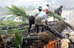 Sweet deal? Government set to bring Rs 7000 crore package to woo sugercane farmers